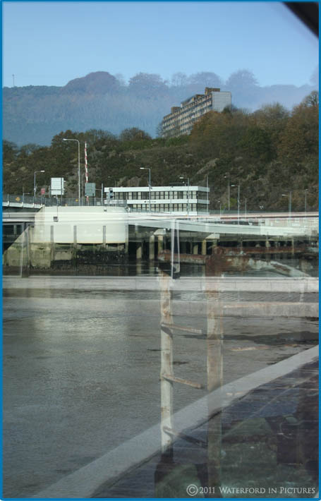 Seagulls In Waterford City
