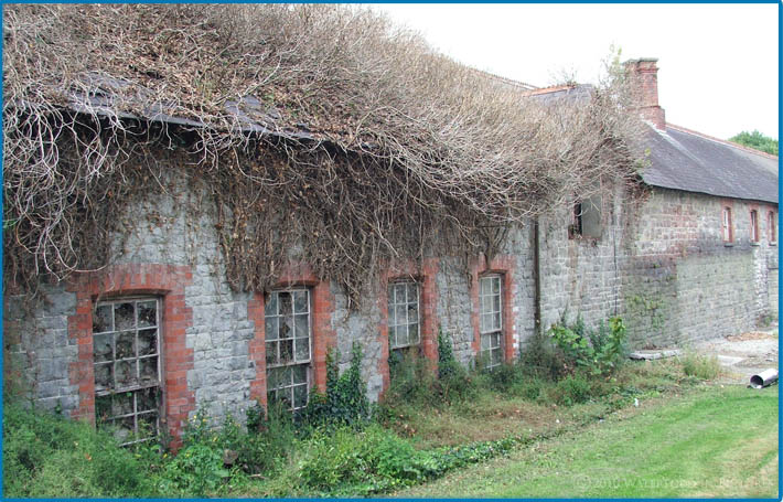 Snowcream Waterford City - 01